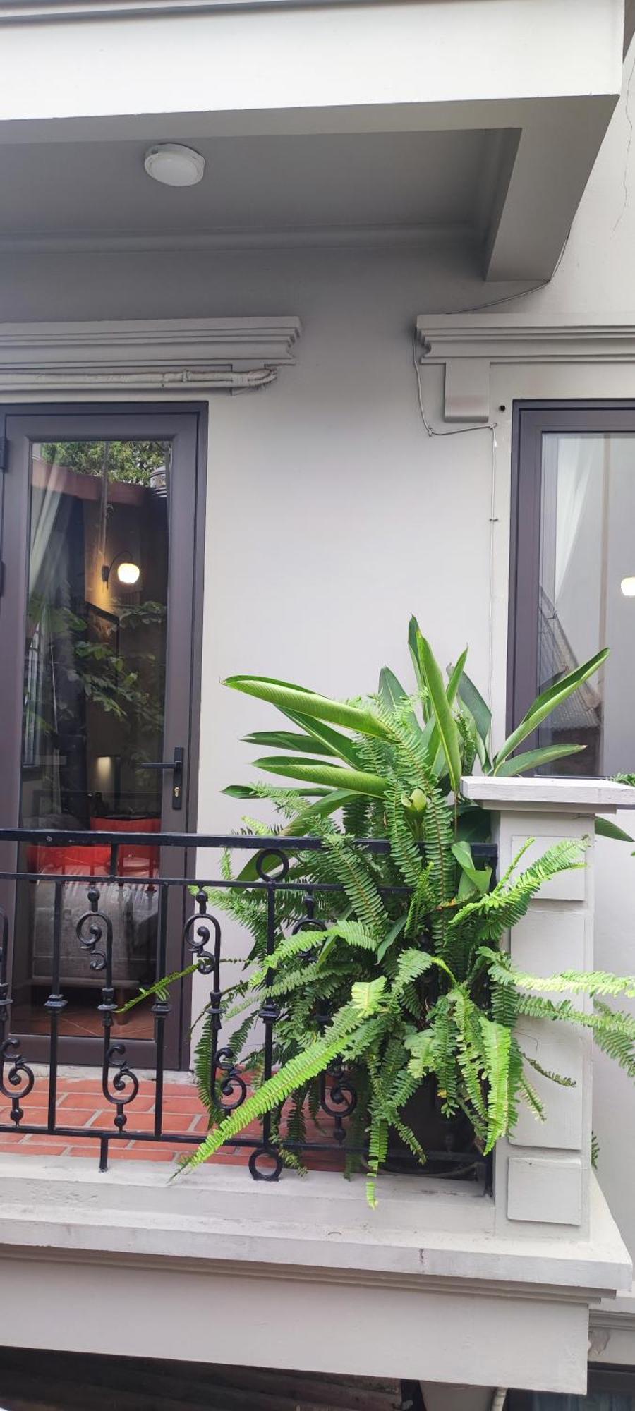T Home Balcony Homestay Hanoi Luaran gambar